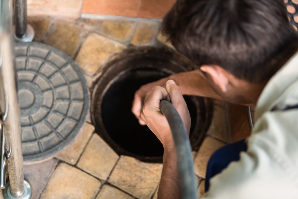 Wave Plumbing: Your Go-To Plumber in Point Loma