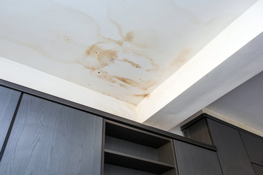 Signs of Water Damage